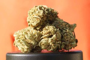 cannabis, Hemp flower and CBD