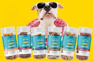 cbd dog treats selection - 400mg