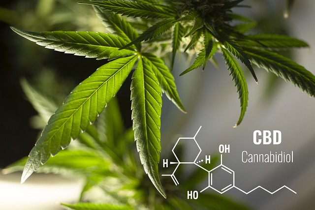 CBD Myths