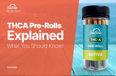 Promotional image from Sun State Hemp blog titled ‘THCA Pre-Rolls Explained: What You Should Know.’ The left side has an orange background with white text, and the right side shows a clear jar labeled ‘Sun State THC-A Pre-Roll Sativa’ containing several pre-rolled joints on a wooden surface by the ocean.
