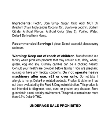 Delta 8 Infused 50mg Gummy Blue Raspberry Indica Grab N&#039; Go Bag 10ct 500mg | Sun State Hemp